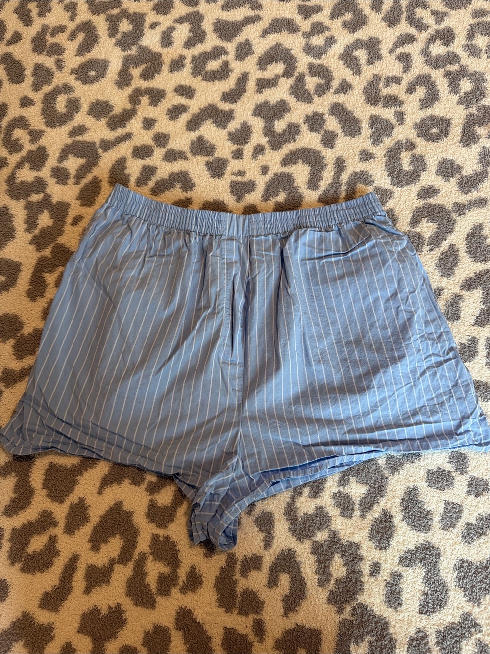 Aritzia Light Blue Pinstripe High-Waist Shorts